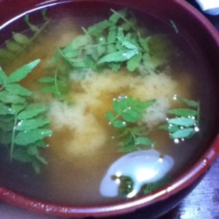 木の芽と大根の味噌汁